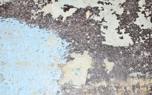 Paint restoration tools