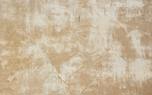 Paint stripping techniques