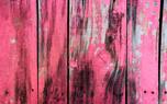 Paint color matching