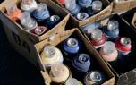 Paint sprayer maintenance