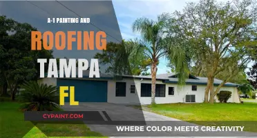Transform Your Tampa Home: A-1 Painting & Roofing Expertise