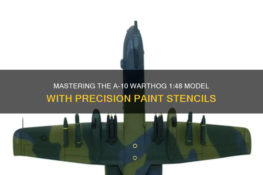 a-10 1 48 warthog model paint stencil