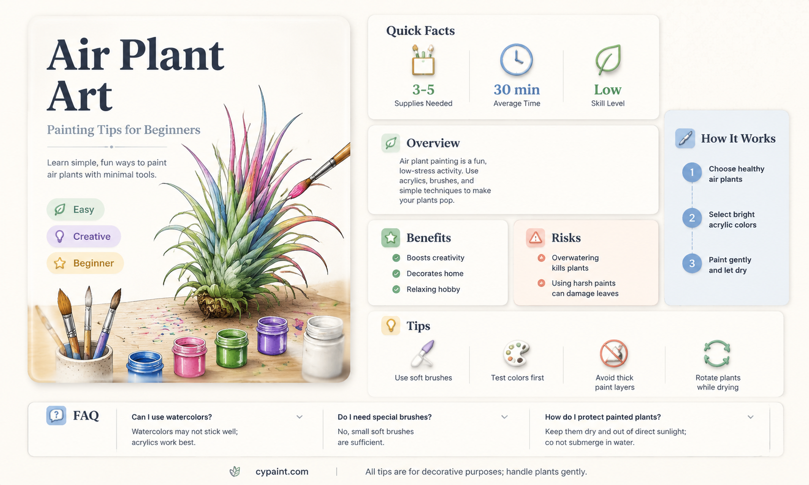 can i paint the tips of an air plant