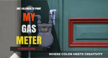 Can You Paint Your Gas Meter? Rules and Safety Tips