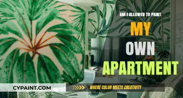 Can You Paint Your Rental Apartment? Rules and Tips for Tenants