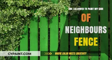 Painting Your Side of the Neighbour's Fence: Legal or Not?