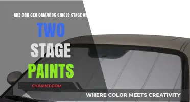 Single Stage or Two Stage? Unveiling 3rd Gen Camaro Paint Secrets
