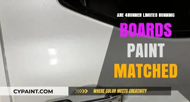 Paint-Matched 4Runner Limited Running Boards: Are They Worth It?
