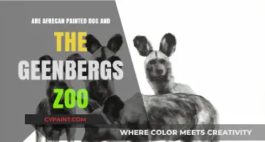 African Painted Dogs at Greenbergs Zoo: A Wildlife Encounter