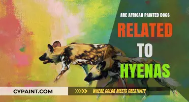 African Painted Dogs vs. Hyenas: Unraveling Their Genetic Relationship