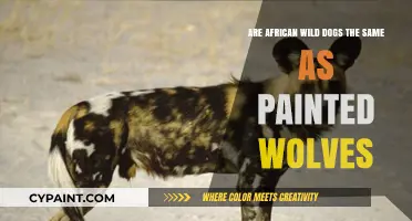 African Wild Dogs: Painted Wolves or Not?
