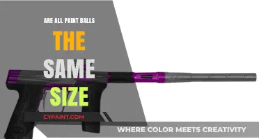 Are All Paintballs the Same Size? Uncovering the Truth