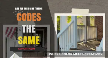 Are Paint Tinting Codes Universal Across All Brands and Regions?