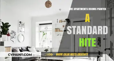 Standard White Walls: The Norm in Apartment Painting?