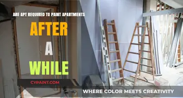 How Often Should Apartments Be Repainted?