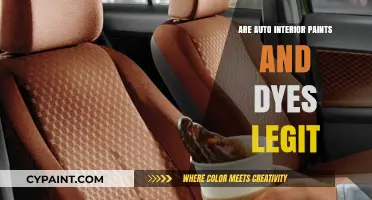 Are Auto Interior Paints and Dyes Legit? A Comprehensive Review