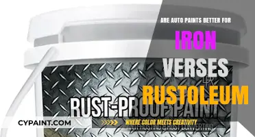 Auto Paints vs. Rustoleum: Which Protects Iron Better from Rust?