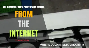 Online Auto Parts: Are They Painted or Not?