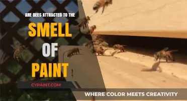 Do Paint Fumes Attract Bees? Uncovering the Surprising Truth