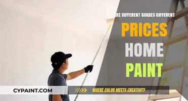 Home Paint Prices: Do Different Shades Carry Different Costs?