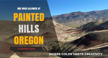 Can Dogs Visit Painted Hills Oregon? Pet-Friendly Travel Guide