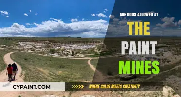 Can Dogs Visit Paint Mines? Rules and Tips for Pet Owners