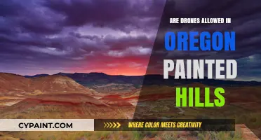 Exploring Oregon's Painted Hills: Drone Regulations and Restrictions Explained