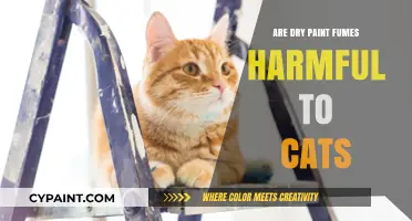 Are Dry Paint Fumes Harmful to Cats? What Pet Owners Need to Know
