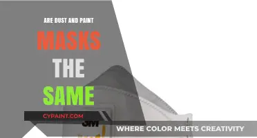 Dust vs. Paint Masks: Understanding the Key Differences and Uses