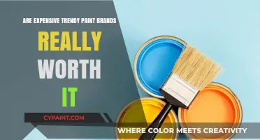 Trendy Paint Brands: Are Premium Prices Justified for Quality?