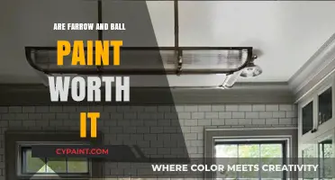 Is Farrow and Ball Paint Worth the Investment? A Review