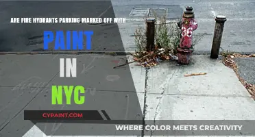 NYC Fire Hydrant Parking Rules: Paint Markings Explained