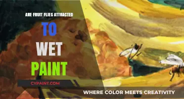 Do Fruit Flies Swarm Around Wet Paint? Uncovering the Truth