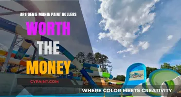 Genie Mania Paint Rollers: Are They a Worthwhile Investment?