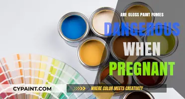 Gloss Paint Fumes During Pregnancy: Are They a Hidden Danger?