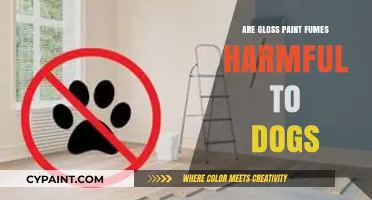 Gloss Paint Fumes: Are They Harmful to Your Dog's Health?