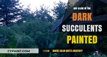 Are Glow-in-the-Dark Succulents Painted or Naturally Luminous?