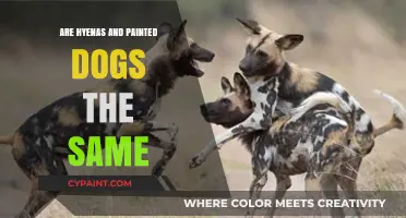 Hyenas vs. Painted Dogs: Unraveling the Differences and Similarities