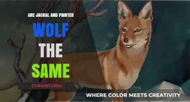 Jackal vs. Painted Wolf: Unraveling the Mystery of Their Identity