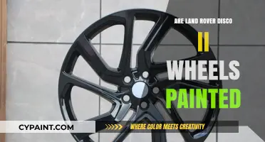 Are Land Rover Discovery II Wheels Factory Painted or Finished?
