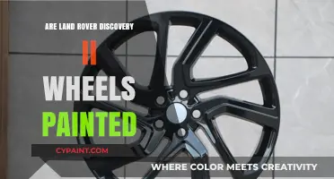 Land Rover Discovery II Wheels: Painted or Not?