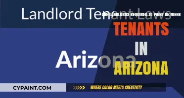 Arizona Landlord's Guide: Painting Between Tenants