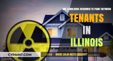 Landlord's Duty: Painting Between Tenants in Illinois