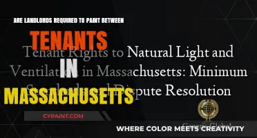 Massachusetts Landlord Requirements: Painting Between Tenants