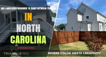 North Carolina Landlord Duties: Painting Requirements Between Tenants Explained