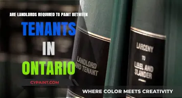 Landlord's Duty: Painting Between Tenants in Ontario
