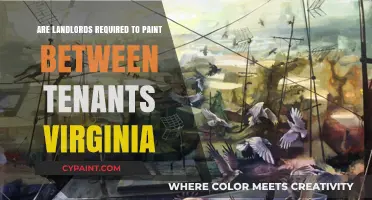 Virginia Landlord Responsibilities: Painting Requirements Between Tenants Explained