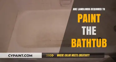 Landlord Responsibilities: Must They Paint Your Bathtub? Legal Insights