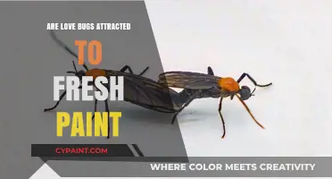 Do Love Bugs Swarm Freshly Painted Surfaces? Unraveling the Myth