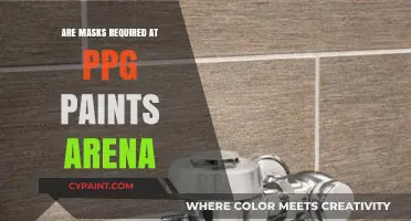 Mask Policies at PPG Paints Arena: What You Need to Know